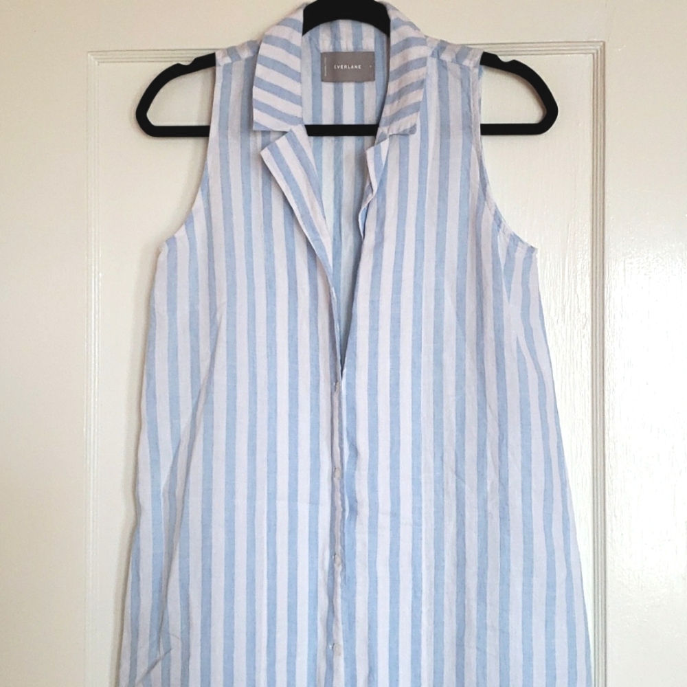 Everlane Blue and White Striped Sleeveless Shirt Dress